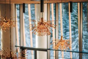 别拉什尼察Wellness Apartments Nomad的一组吊灯悬挂在窗户前。