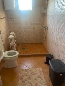 a bathroom with a toilet and a sink at Zeleni kutak in Sarajevo +21 photos