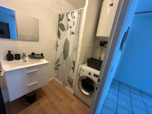 un bagno con lavatrice e lavandino di Gîte a Les Roches-de-Condrieu