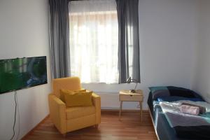 a bedroom with a chair and a bed and a tv at Apartments Gamsfeld in Russbach am Pass Gschütt