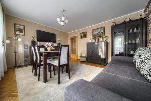 Televízia a/alebo spoločenská miestnosť v ubytovaní Szczepin Spacious Apartment
