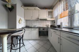 Kuchyňa alebo kuchynka v ubytovaní Szczepin Spacious Apartment