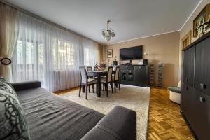 Televízia a/alebo spoločenská miestnosť v ubytovaní Szczepin Spacious Apartment