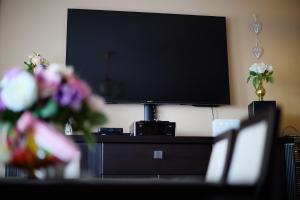 Televízia a/alebo spoločenská miestnosť v ubytovaní Szczepin Spacious Apartment