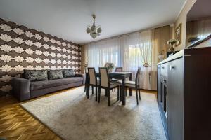 Kuchyňa alebo kuchynka v ubytovaní Szczepin Spacious Apartment