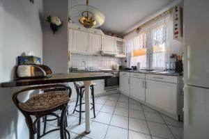 Kuchyňa alebo kuchynka v ubytovaní Szczepin Spacious Apartment