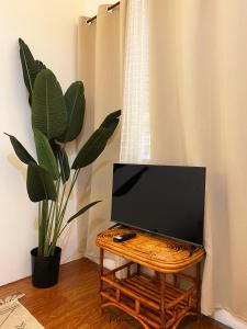 a tv sitting on a table next to a plant at Manawari Beach Resort in Caliclic