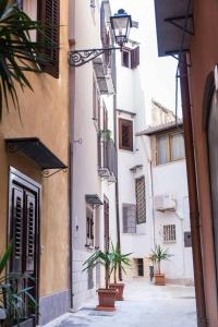 パレルモにあるCasa Vicolo San Giovanniの鉢植えの通路