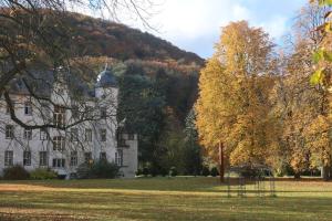 an old house with a hill in the background at DD Homes - Haus im Grünen - 7 Betten,3 SZ,Terrasse,110 qm in Andernach