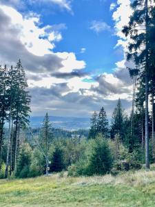 Príroda v okolí apartmánu