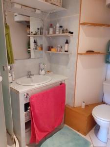 Ένα μπάνιο στο Appartement La mer de glace