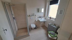 ein Badezimmer mit Dusche, Toilette und Waschbecken in der Unterkunft Schlosswohnung in Calau