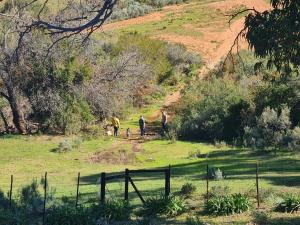 a group of people walking down a grassy hill at Landsrivier Cottage No 1 in Uniondale