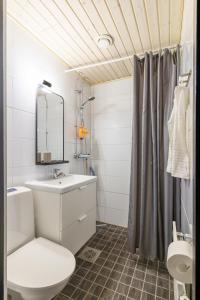a bathroom with a sink and a toilet and a mirror at Northern Lights City Cabin in Rovaniemi
