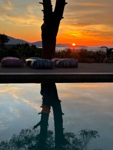 a reflection of a person standing next to a tree at MyThea Villa by "elite" in Lithakia