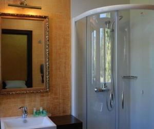 un bagno con doccia, lavandino e specchio di Hotel Hercegovina a Sarajevo