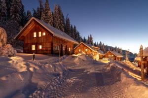 Chalet Dachsteinblick durante l'inverno