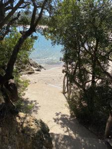 a dirt path leading to a beach with trees at Faounzina Village in Favone