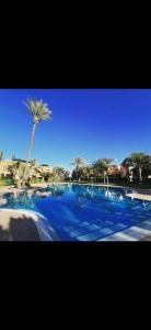 una grande piscina blu con una palma di Très joli appartement à Atlas Golf Resort a Marrakech