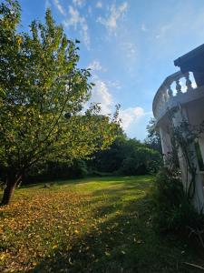 Foto dalla galleria di Zselici Never Say Never Vendégház a Vásárosbéc Altre 24 foto