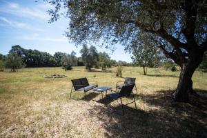 two chairs and a table under a tree in a field at La Casa di Pan in Bullicame