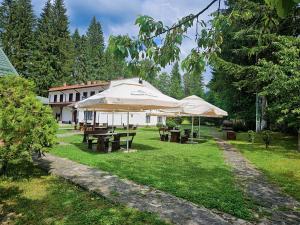 two picnic tables and umbrellas in a yard at Pensiunea Rhein in Azuga