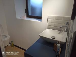 a bathroom with a sink and a mirror and a toilet at Le studio in Carhaix-Plouguer