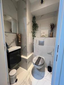 a bathroom with a toilet and a sink at Cosy logement entier à Asnières sur Seine in Asnières-sur-Seine +4 photos