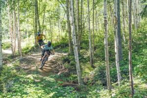 Επισκέπτες που μένουν στο Järvsö Sport Resort- Lgh B