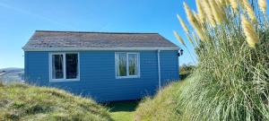 a blue shack on the beach with tall grass at F71 Elova, Riviere Towans in Hayle
