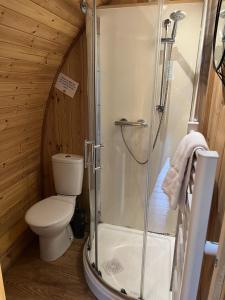 a bathroom with a shower and a toilet in a cabin at Mountain Edge Resort Mega pod 6 with Hot Tub in Church Stretton