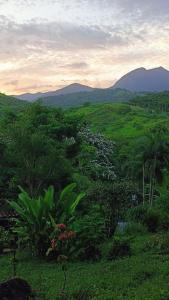 Un campo verde con árboles y montañas al fondo. en Acampamento no Camping Natureza Divina, en Paraty