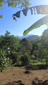 una visión de los auliculiculiculiculiculiculiculiculiculiculiculiculiculiculiculiculiculiculiculiculic en Acampamento no Camping Natureza Divina, en Paraty