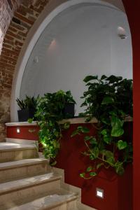 Zahrada ubytování Rudolfo Hotel