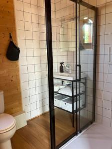 Un baño con inodoro y ducha de cristal. en Chalet Malaza, en Eyne