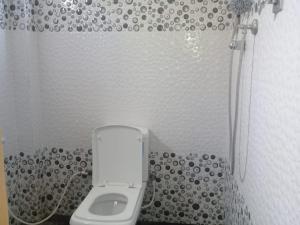 韦利格默Dilana Villa的带厕所和淋浴的小浴室