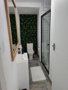 baño con aseo y seto verde en Gordon's Bay Sunset View, en Ciudad del Cabo 9 fotos más