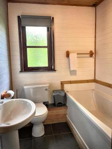 a bathroom with a tub and a toilet and a sink at Goldcrest 3-Hot Tub-Woodland Lodges-Carmarthenshire-Tenby in Carmarthen +10 photos