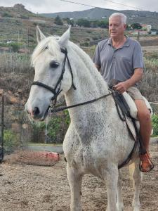 Binatang di apartmen atau berdekatan