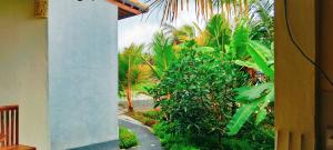 Aed väljaspool majutusasutust Srijaya Ubud by SHM