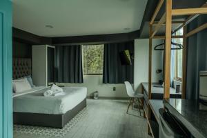 Fotografie z fotogalerie ubytování Casa Romita v destinaci Mexico City + 20 fotografií
