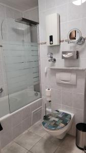 a bathroom with a toilet and a shower and a tub at App mit Klima, Pool, Garage für Auto, Bike, Skier, AktivCARD optional in Sankt Englmar