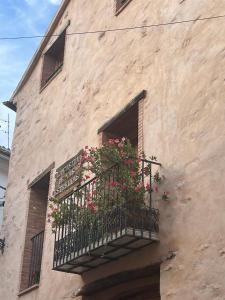 Billede fra billedgalleriet på La Casita de Las Estrellas i Algimia de Almonacid