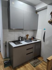 Kuchyň nebo kuchyňský kout v ubytování saxli creze + 3 fotografie