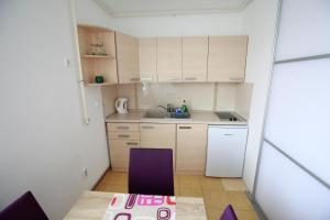 Kuchyňa alebo kuchynka v ubytovaní Apartment Hurcak + 8 fotografií