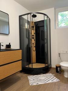 a glass shower in a bathroom with a toilet at Appartement Chic & Élégant in Saint-Dizier