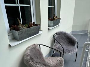 Posezení v ubytování Apartmán Pec 322