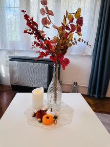 Rose Apartment 1193 Budapest, Táncsics Mihály utca 83 kép - 2