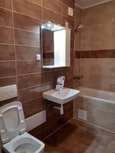 a bathroom with a sink and a toilet and a tub at Cozy Studio in Târgu-Mureş +11 photos