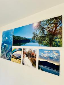 Gallery image of Cocoon in Stavelot
